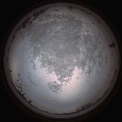 capture_202112101500_4066.Png