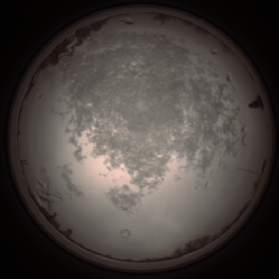 capture_202112101332_3978.Png
