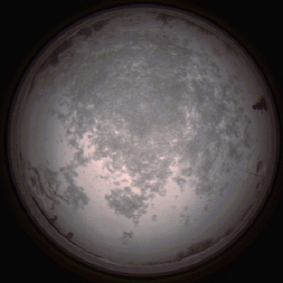 capture_202112100800_3646.Png