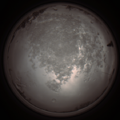 capture_202112101251_3937.Png