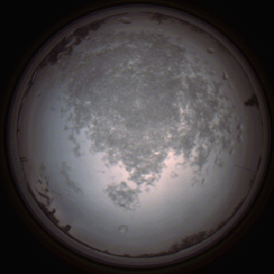 capture_202112101457_4063.Png