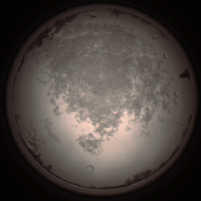 capture_202112101330_3976.Png