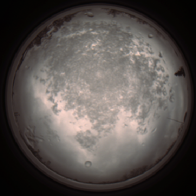 capture_202112101245_3931.Png
