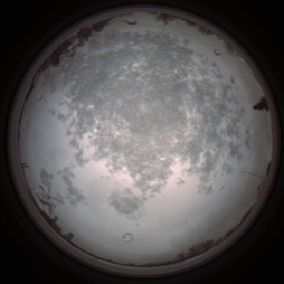 capture_202112101158_3884.Png