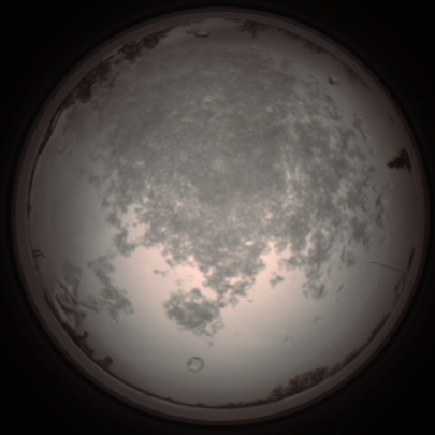 capture_202112101121_3847.Png