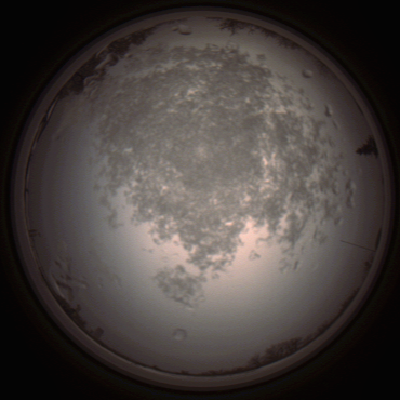 capture_202112101444_4050.Png