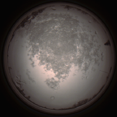 capture_202112101430_4036.Png