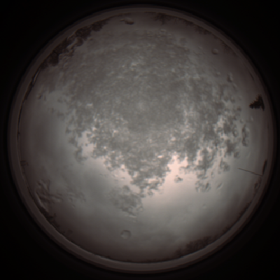 capture_202112101237_3923.Png
