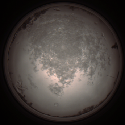 capture_202112101346_3992.Png