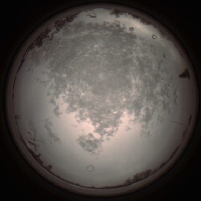 capture_202112101309_3955.Png