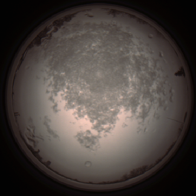 capture_202112101423_4029.Png