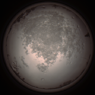 capture_202112101411_4017.Png