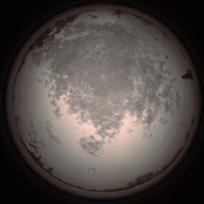 capture_202112101419_4025.Png