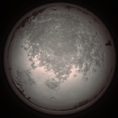 capture_202112101145_3871.Png