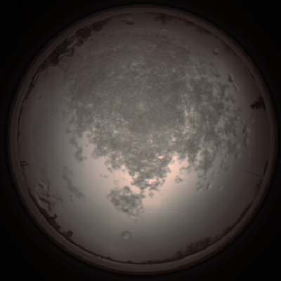 capture_202112101407_4013.Png