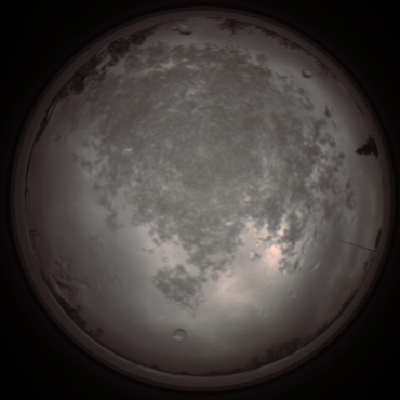 capture_202112101247_3933.Png