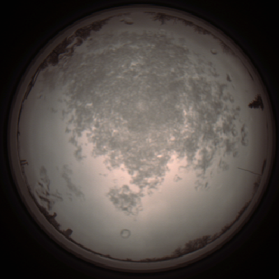 capture_202112101402_4008.Png