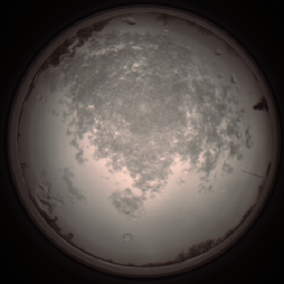 capture_202112101351_3997.Png