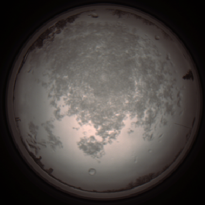 capture_202112101149_3875.Png