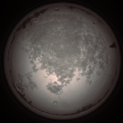 capture_202112101128_3854.Png