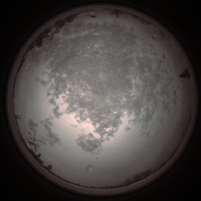 capture_202112101155_3881.Png
