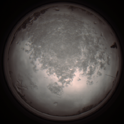 capture_202112101235_3921.Png