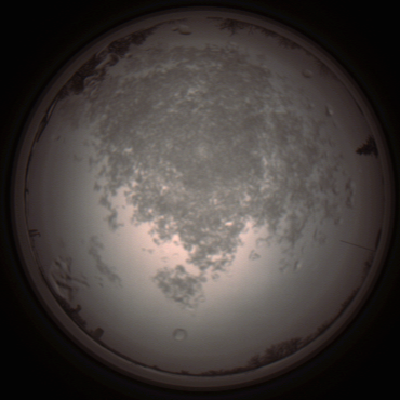 capture_202112101429_4035.Png