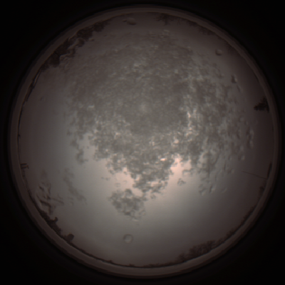 capture_202112101408_4014.Png