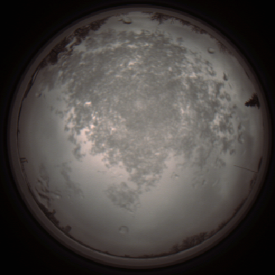 capture_202112101257_3943.Png