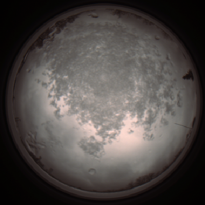 capture_202112101234_3920.Png