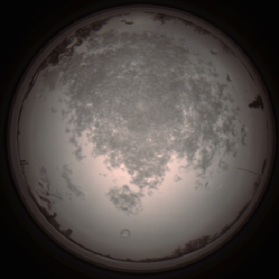 capture_202112101420_4026.Png