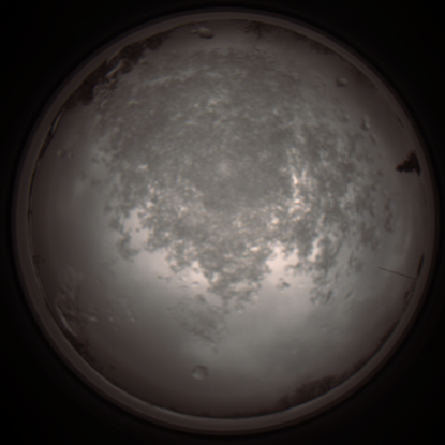 capture_202112101221_3907.Png
