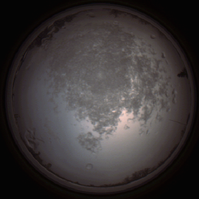 capture_202112101454_4060.Png