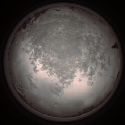 capture_202112101233_3919.Png