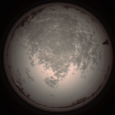 capture_202112101324_3970.Png