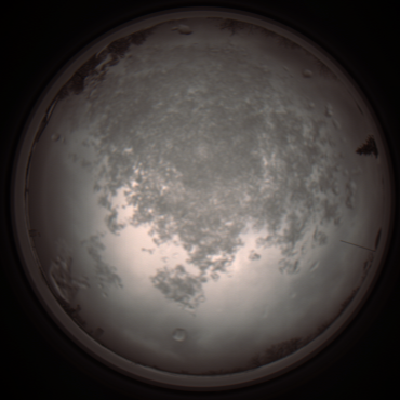 capture_202112101227_3913.Png