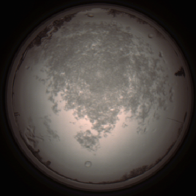 capture_202112101313_3959.Png