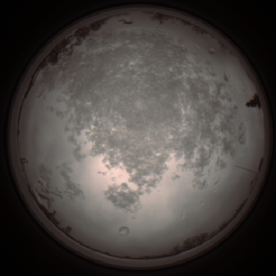 capture_202112101207_3893.Png