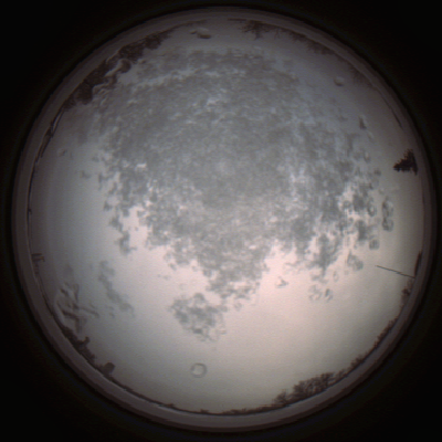 capture_202112101417_4023.Png
