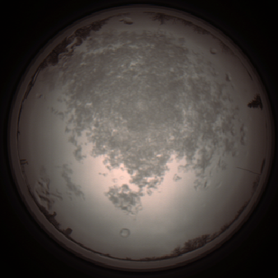 capture_202112101333_3979.Png