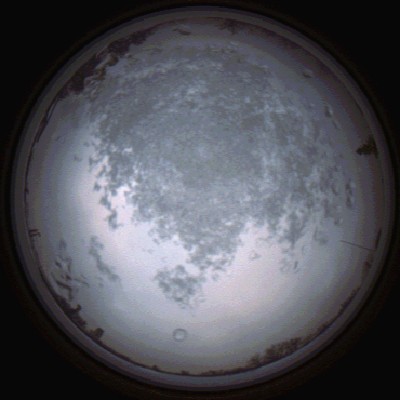 capture_202112101505_4071.Png