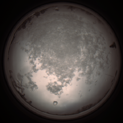 capture_202112101037_3803.Png