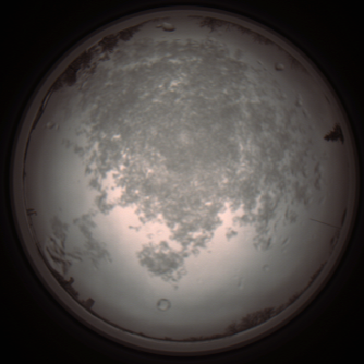 capture_202112101133_3859.Png
