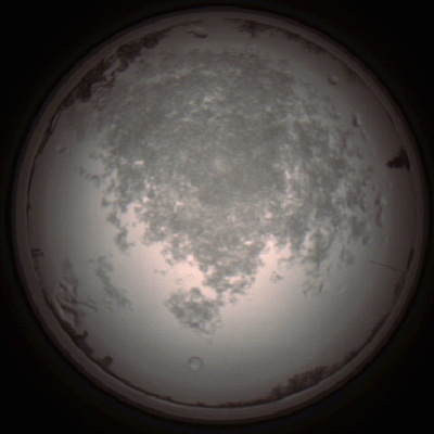 capture_202112101318_3964.Png