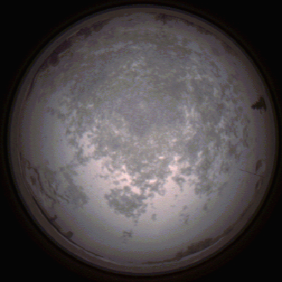 capture_202112100755_3641.Png