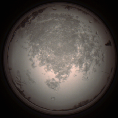capture_202112101316_3962.Png