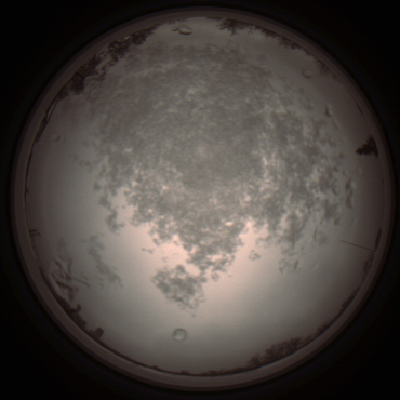 capture_202112101311_3957.Png