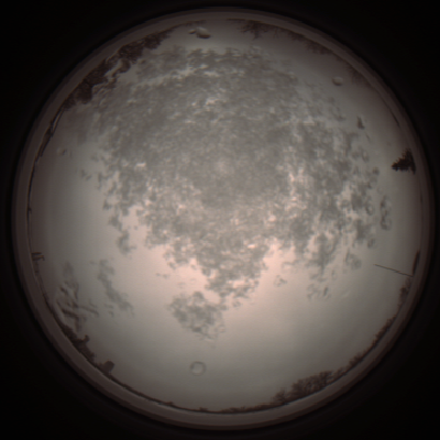 capture_202112101352_3998.Png