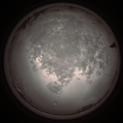 capture_202112101216_3902.Png