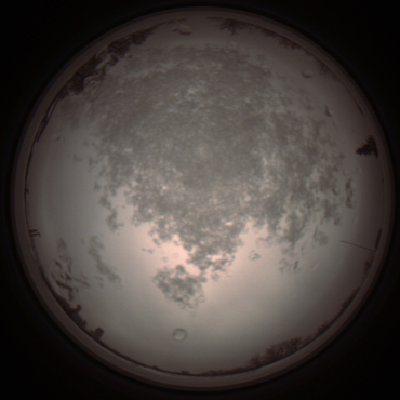 capture_202112101405_4011.Png